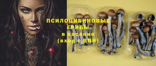 spice Пролетарск