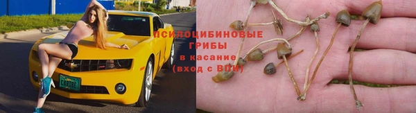 амф Алексин